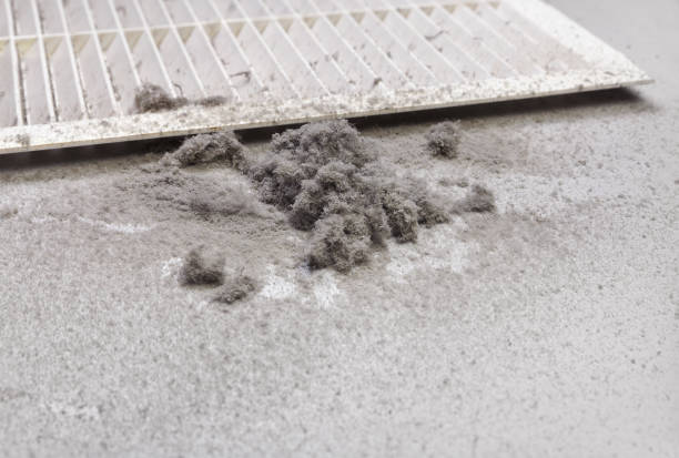 Best Best Air Duct Cleaning Near Me  in Cicero, IL