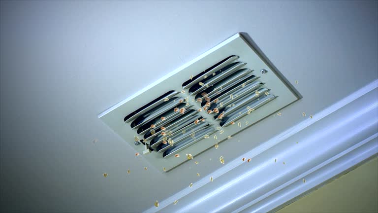 Best Affordable Air Duct Cleaning  in Cicero, IL